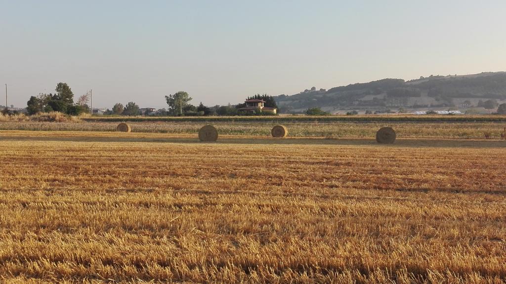 皮耶特雷尔奇纳Agriturismo La Vecchia Cascina Di Paolo & Belinda别墅 外观 照片